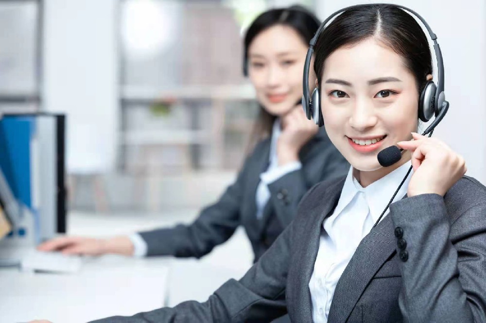 欢迎进入理士国际技术客服中心!